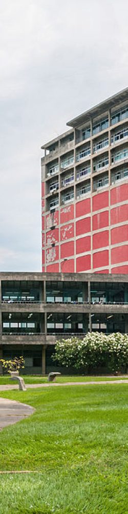 profesores de la UCV